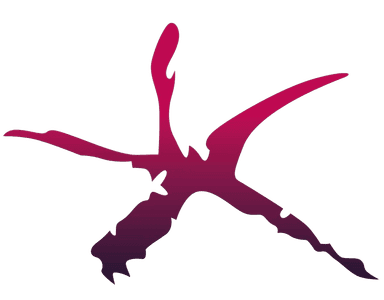 Logo de Comarca Central